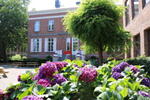 Kasteel-Pink-Flowers